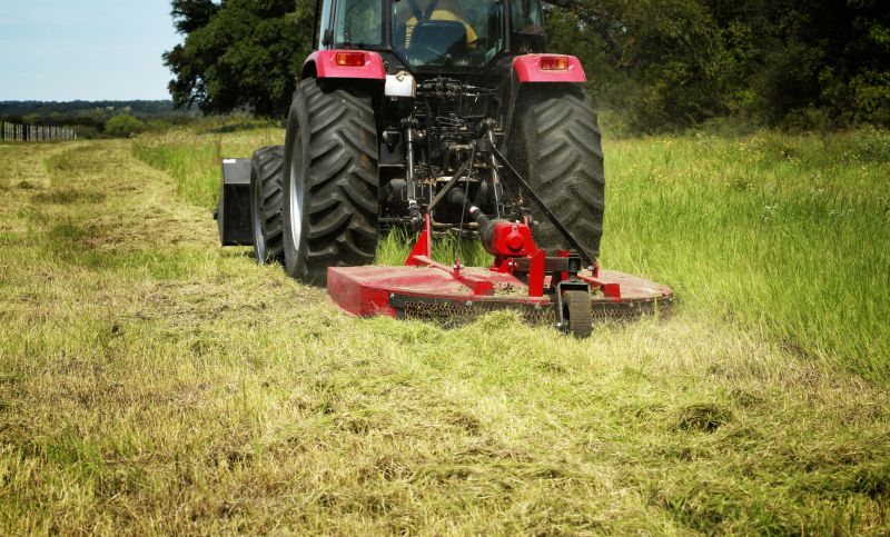 Acreage Clearing in Gwinnett County, GA
