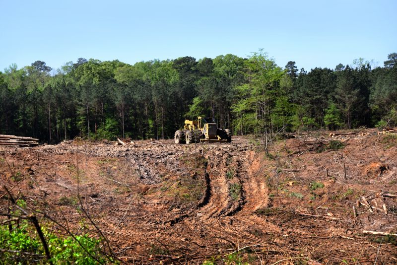 Farm Clearing in Gwinnett County, GA