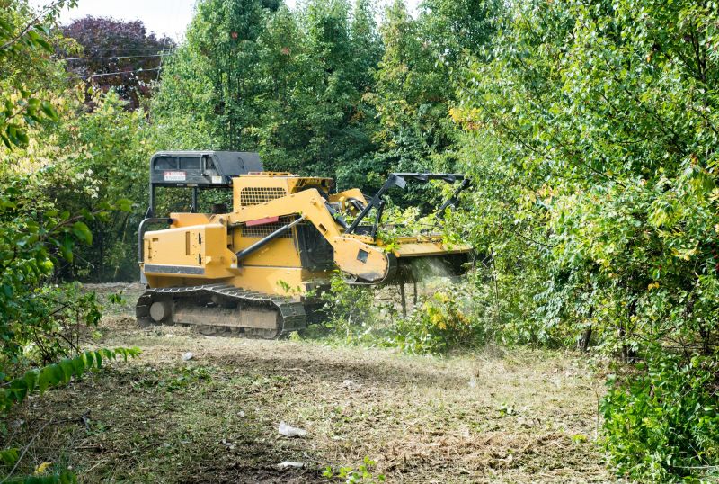Hill Clearing in Cumming, GA