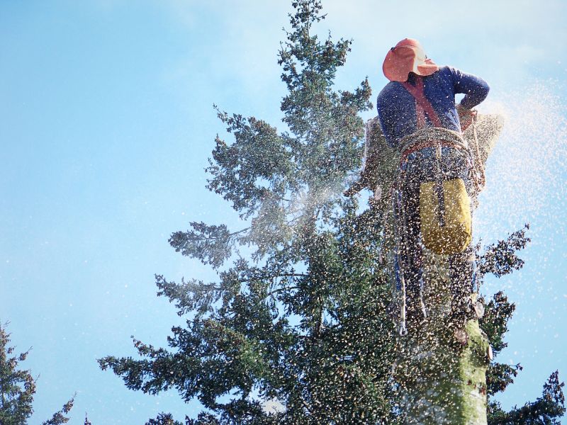 Tree Removal Service in Montgomery County, PA