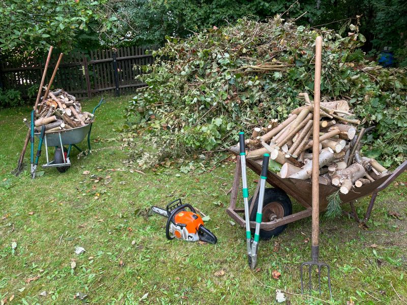 Walnut Tree Removal