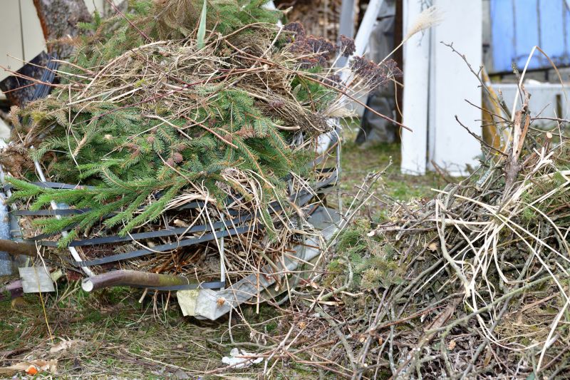Inside Walnut Tree Removal - Debris Disposal